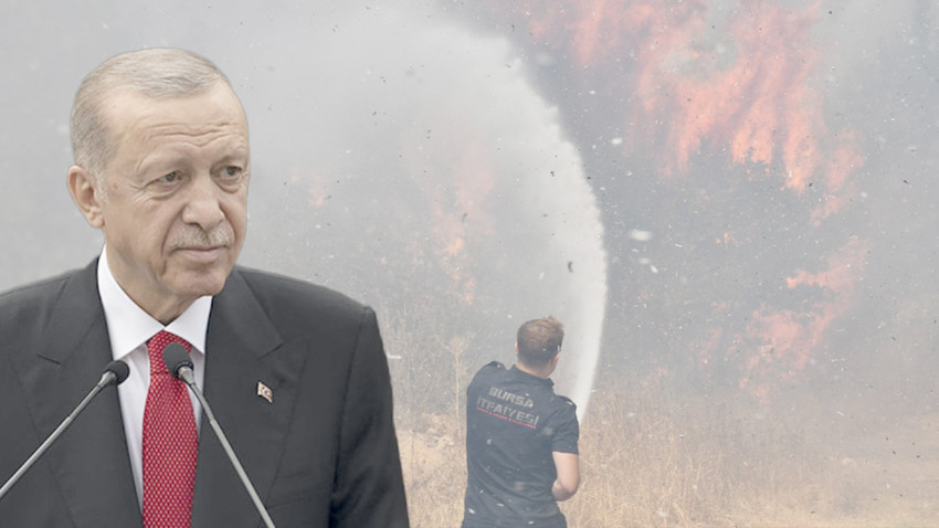 Cumhurbaşkanı Erdoğan'dan Çanakkale açıklaması: Yangının yayılması durduruldu