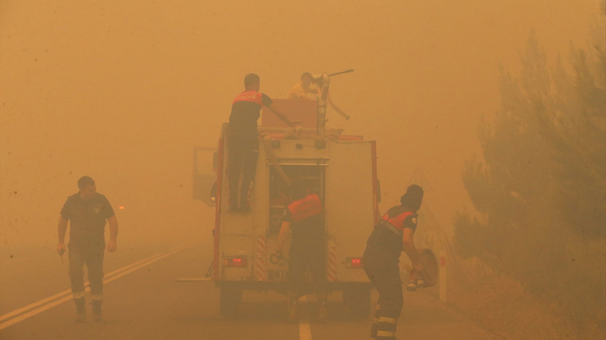 Sağlık Bakanı Koca: Çanakkale’deki orman yangınında 83 kişi etkilendi