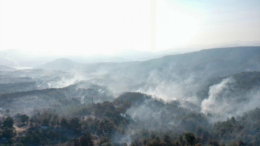 Yüksek sıcaklıklar devam ediyor: Yangınla mücadele eden Çanakkale'de rüzgar etkili olacak