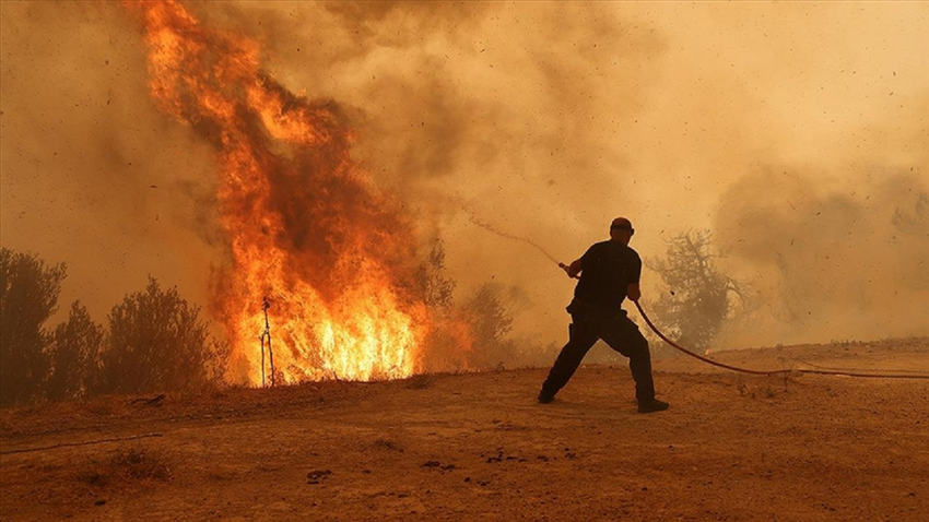 Yunanistan'ın Meriç Bölgesi'nde yanan ormanlık alanda ceset bulundu