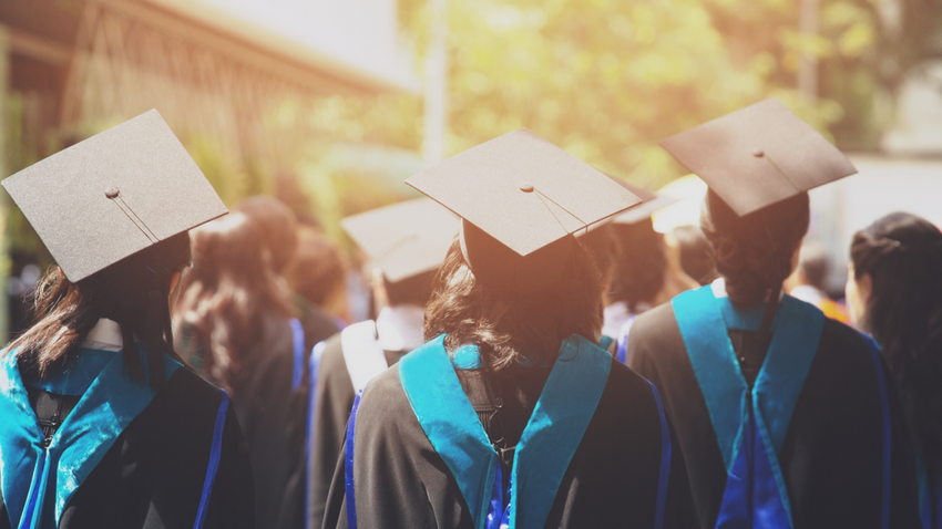 Üniversite diploması şart mıdır?
