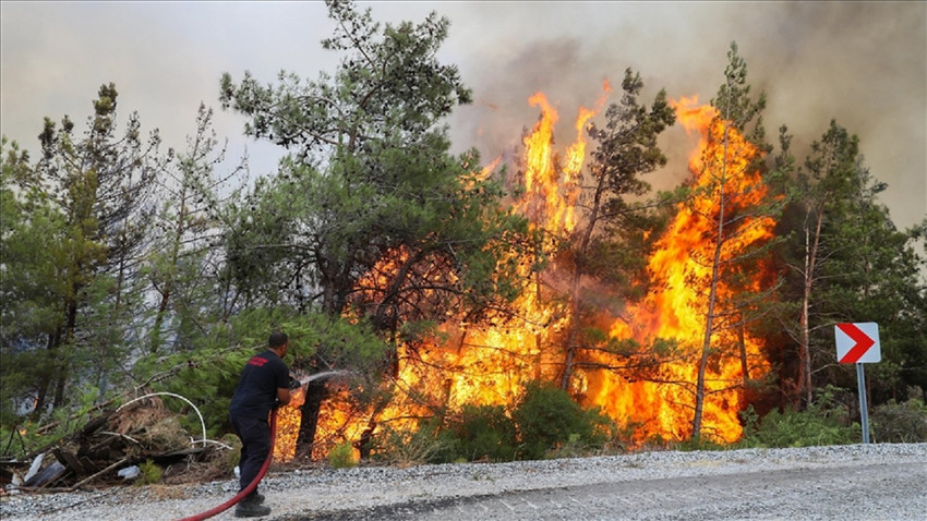 Bu yıl orman yangınlarının yüzde 80'i ihmal ve kaza sonucu çıktı