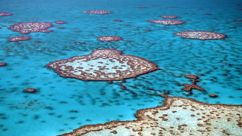 Avustralya'daki mercan adaları yok olma tehlikesi altında: Ülkenin deniz sınırı değişebilir