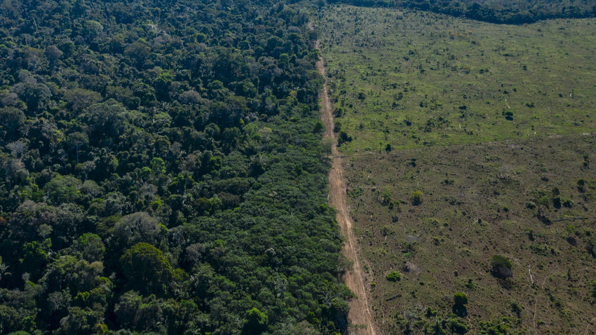Brezilya'nın Rondônia Eyaletindeki Jaci-Paraná rezervinin ormanlık alanına doğru genişleyen bir sığır çiftliği, 11 Temmuz 2021. (Fotoğraf: Victor Moriyama/The New York Times)