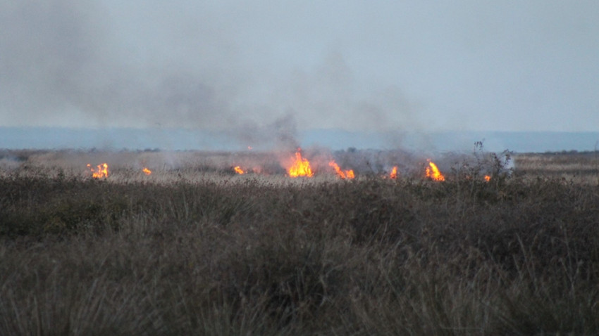 Kızılırmak Deltası Kuş Cenneti'nde korkutan yangın