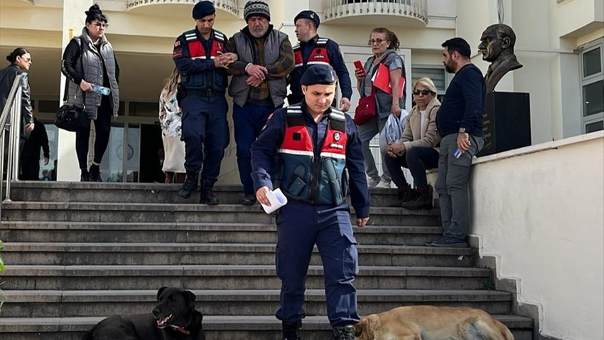 Bodrum'da 6 köpek ve 3 kediyi zehirleyen şüpheli tutuklandı