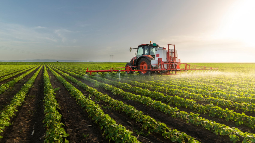 Polonya: Rusya ve Belarus'tan AB'ye gelen tarım ürünlerine yaptırım uygulansın