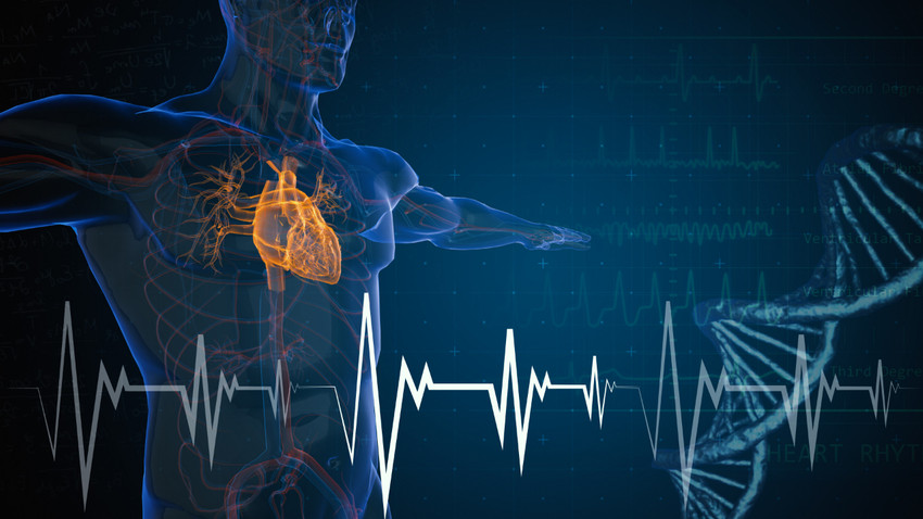 İnsan vücudundaki nanoplastikler ile kalp krizi ve felç arasında bağlantı tespit edildi