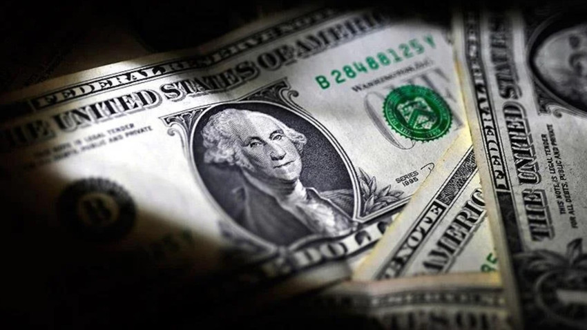 Wells Fargo'dan TL yorumu: Dolar 2025'te 30 TL'nin altını görecek