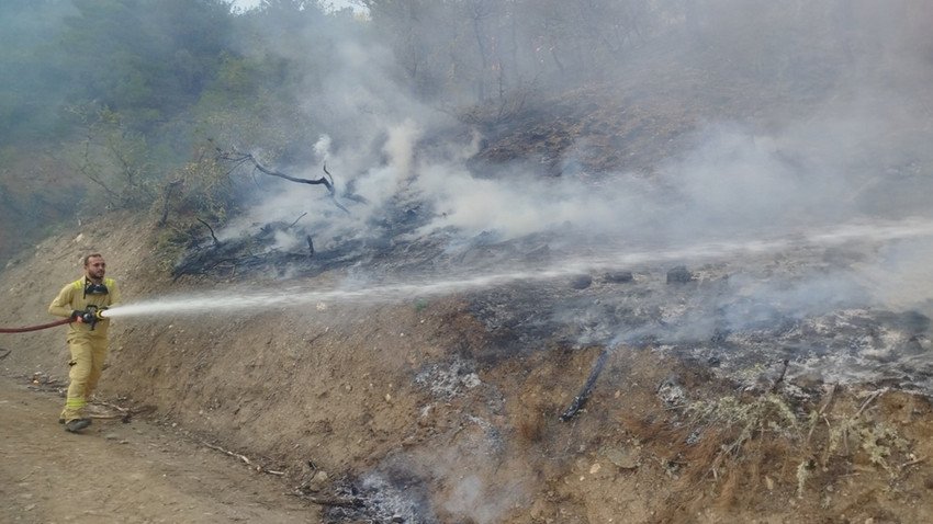 Sinop'ta çıkan orman yangınında 5 hektarlık alan kül oldu
