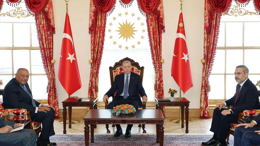 Cumhurbaşkanı Erdoğan, Mısır Dışişleri Bakanı Şukri ile görüştü