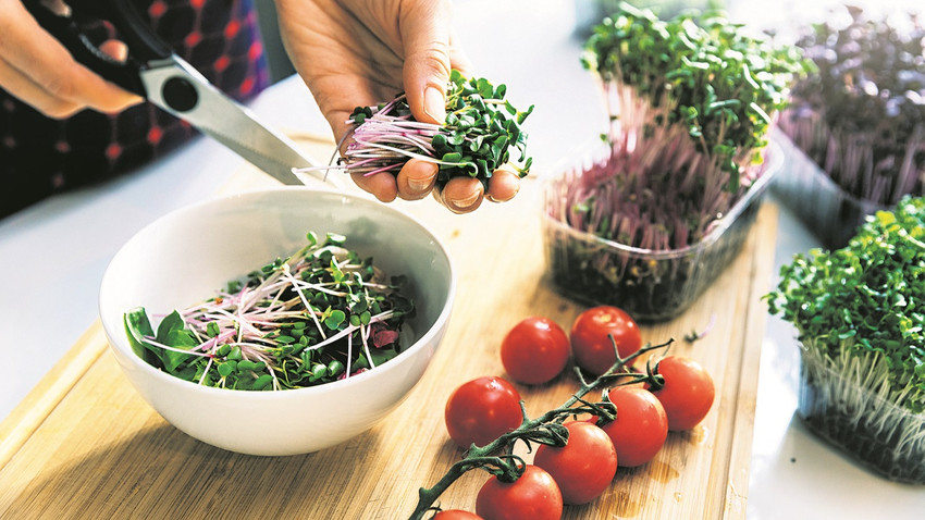 Bir kaşık filiz salata veya çorbanızın  besleyici değerini arttırır.