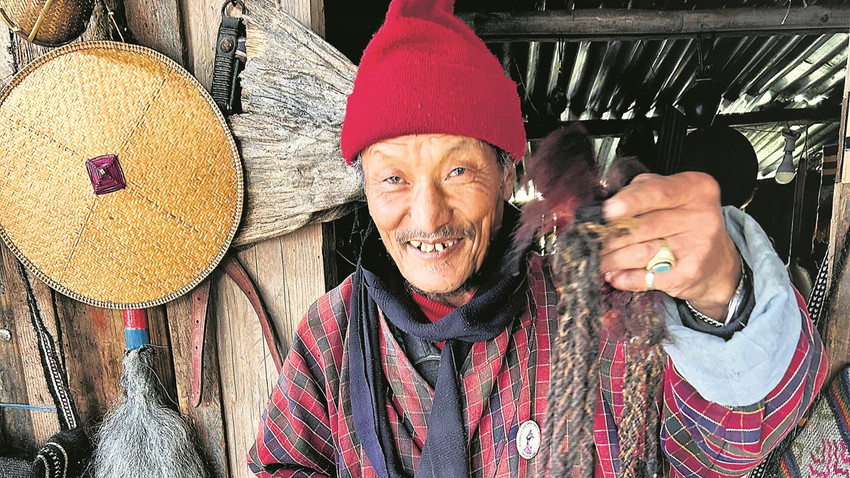 Gangteng dağ köylerinde mallarını beğendirmeye çalışan bir köylü.