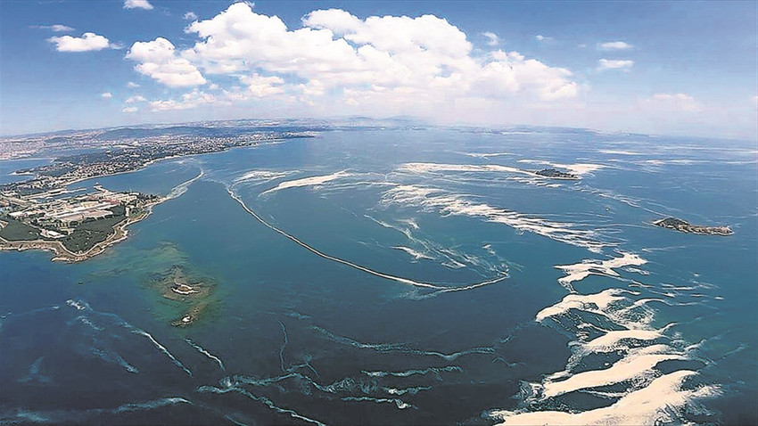 Müsilajla (deniz salyası) mücadelede en etkili yöntemlerden biri, denizdeki oksijen miktarını arttıran deniz çayırlarını korumak ve arttırmak.