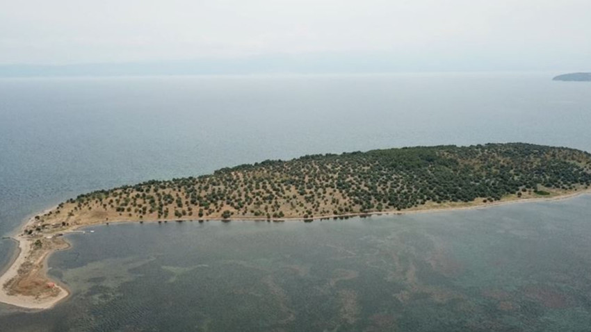 Çiçek Adası'nın tamamı küle döndü: Çok sayıda hayvan yanarak can verdi