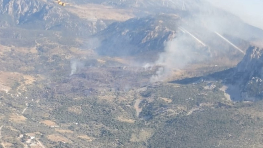 İzmir'in Karaburun ilçesinde orman yangını çıktı