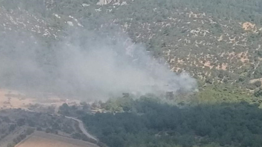 İzmir'in Bergama ilçesinde çıkan orman yangınına müdahale ediliyor