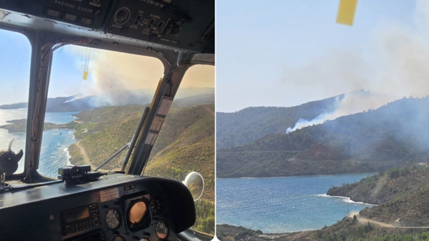 Muğla'nın Marmaris ilçesinde orman yangını çıktı