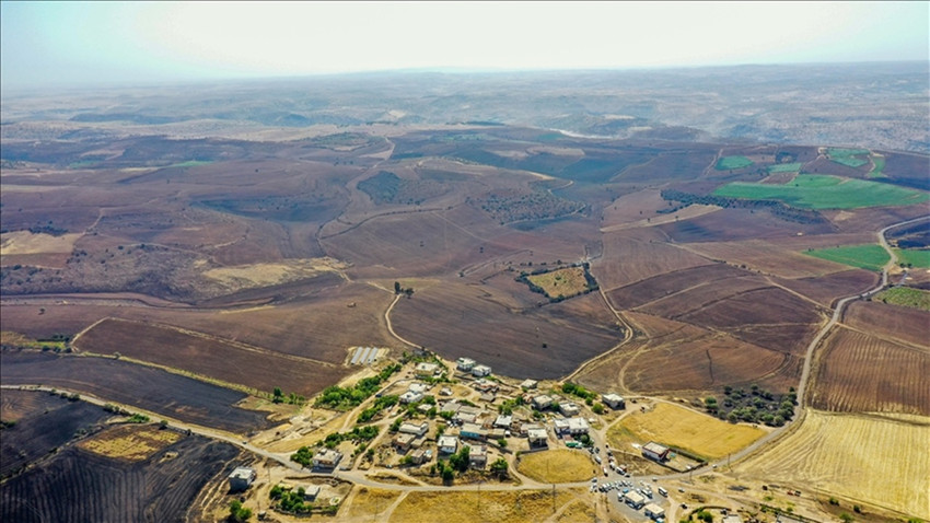 Diyarbakır ve Mardin'deki yangın bölgeleri afet bölgesi ilan edildi