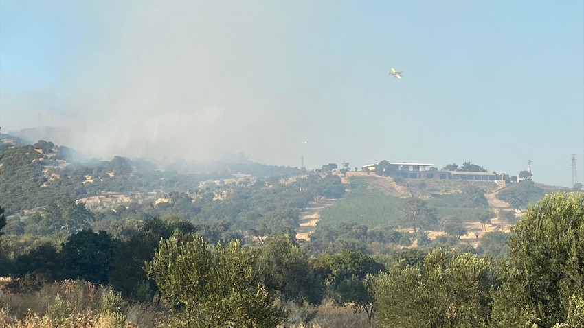 Çanakkale Ayvacık'ta orman yangını