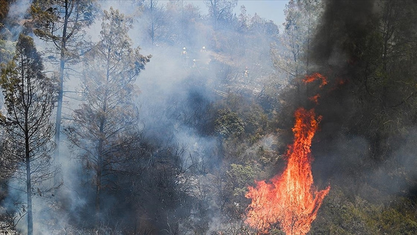 California'da orman yangınları: 6 bin 400 dönüm alan kül oldu, bölge sakinleri için tahliye emri verildi