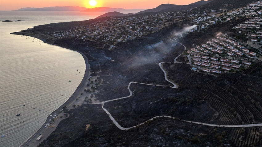 İzmir Dikili'de orman yangını