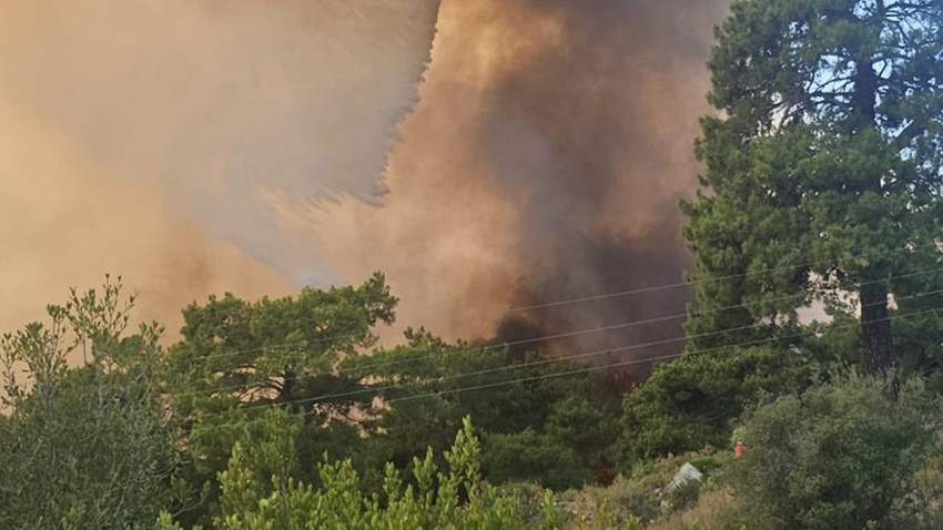 Antalya'da ormanlık alanda yangın çıktı