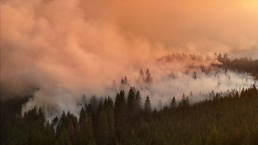 California eyalet tarihinin 5. büyük yangını: Etkilediği alan Los Angeles'tan büyük