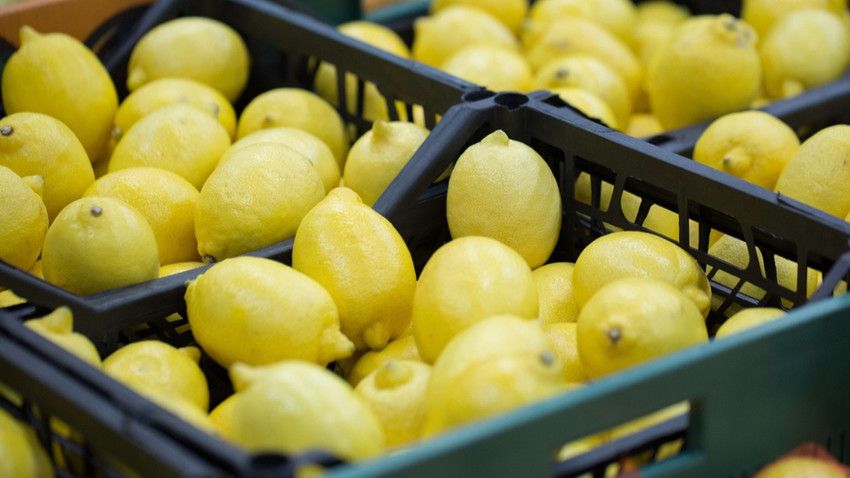 İstanbul'da temmuzda en çok limonun fiyatı arttı