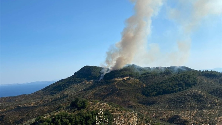 Çanakkale Ayvacık'ta orman yangını