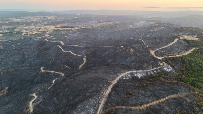 Çanakkale, Bolu, İzmir ve Manisa'da orman yangıları devam ediyor: 3 gün yüksek risk var