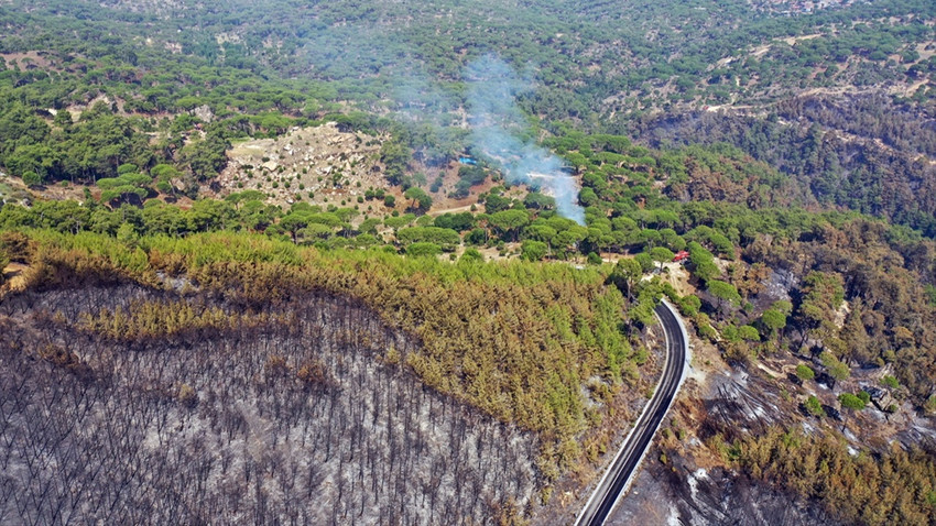 Aydın'ın Bozdoğan ilçesindeki orman yangını kontrol altına alındı