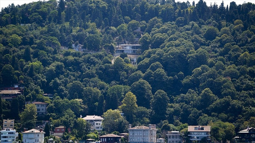 İstanbul Vaniköy'deki izinsiz inşaat durduruldu