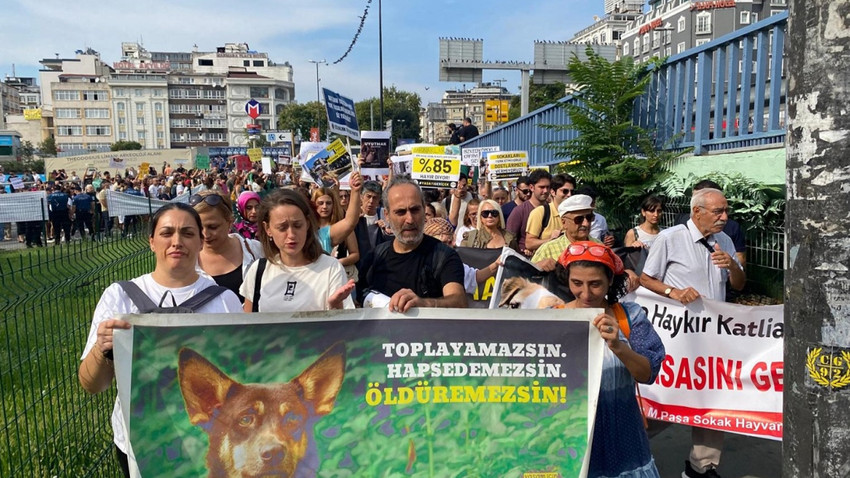 Katliam Yasasına Hayır Mitingi başladı: Devlet öldürmez, yaşatır