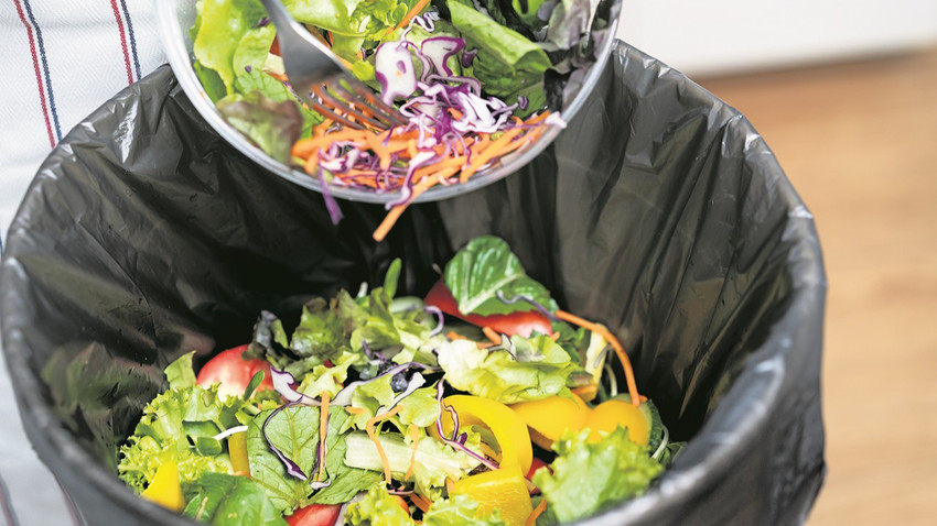 Dünyanın her yerinde bu kötü gidişi önlemek için çalışılıyor