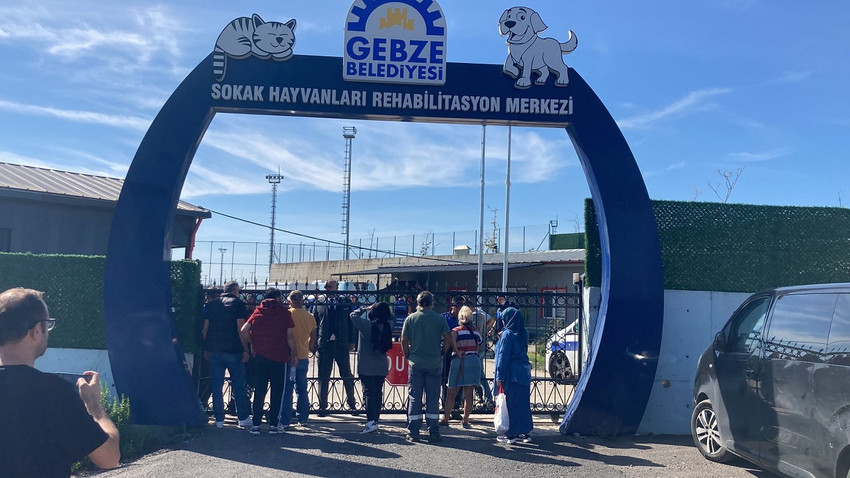 Gebze'de rehabilitasyon merkezinde 45 hayvanın iğneyle öldürüldüğü iddiası