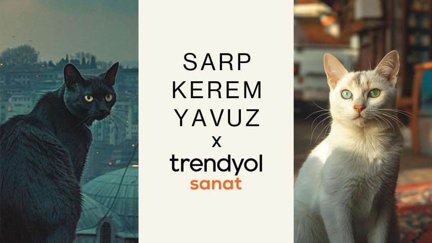 Sarp Kerem Yavuz İmzalı “Topkapı’nın Kedileri” Trendyol Sanat’ta