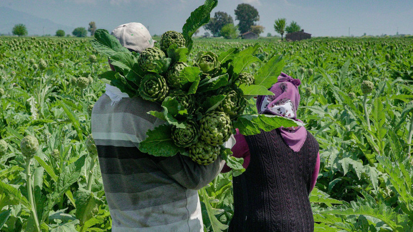 Migros sürdürülebilirlik anlayışı ile fark yaratan projelere imza atıyor