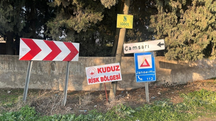 Hatay'da bir mahalle kuduz nedeniyle karantinaya alındı