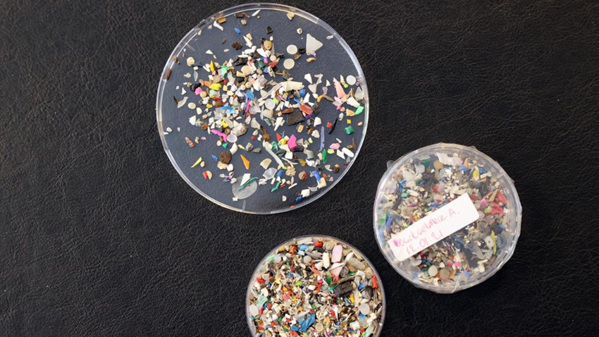 Araştırma: Mikroplastikler beyin fonksiyonlarını azaltıyor