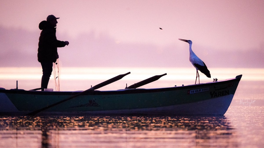 Fotoğraf: Alper Tüydeş