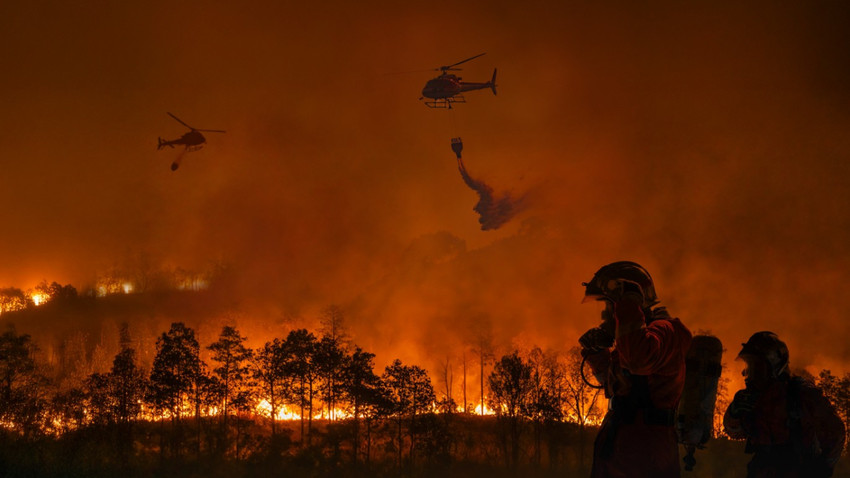 New York Times yazdı: Dünya her dakika 18 futbol sahası büyüklüğünde ormanlık alanı kaybediyor
