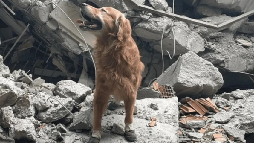 6 Şubat depremlerinde 18 kişiyi kurtaran Killian hayatını kaybetti