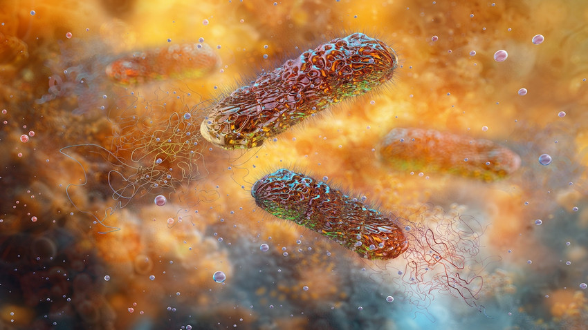 Fotoğraf: Shutterstock