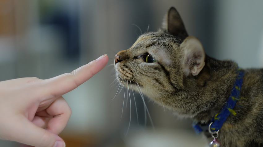 Fotoğraf: Shutterstock