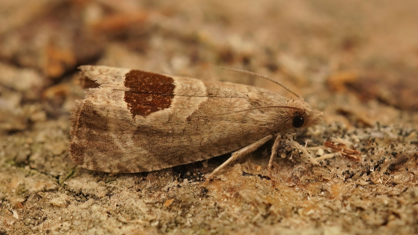 (Fotoğraf: Shutterstock)