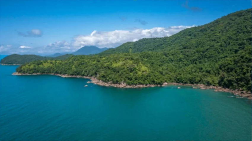 Kıyı kenar çizgisinin deniz tarafındaki ormanlık alanlar turizme açıldı