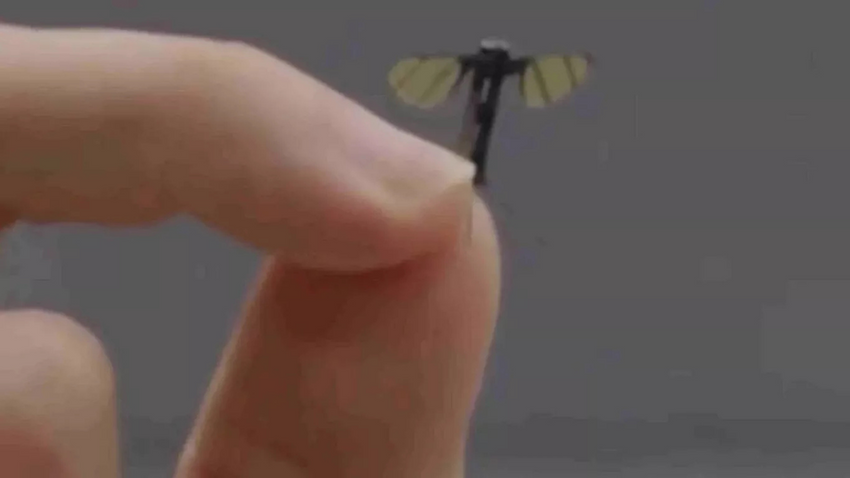 Çin sivrisinek görünümlü mikro casus dronunu tanıttı