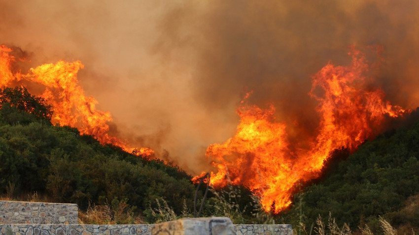 Kocaeli Derince'de orman yangını