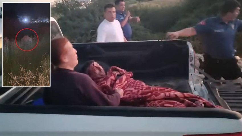 Hayvan parkından kaçan aslan vurularak etkisiz hale getirildi